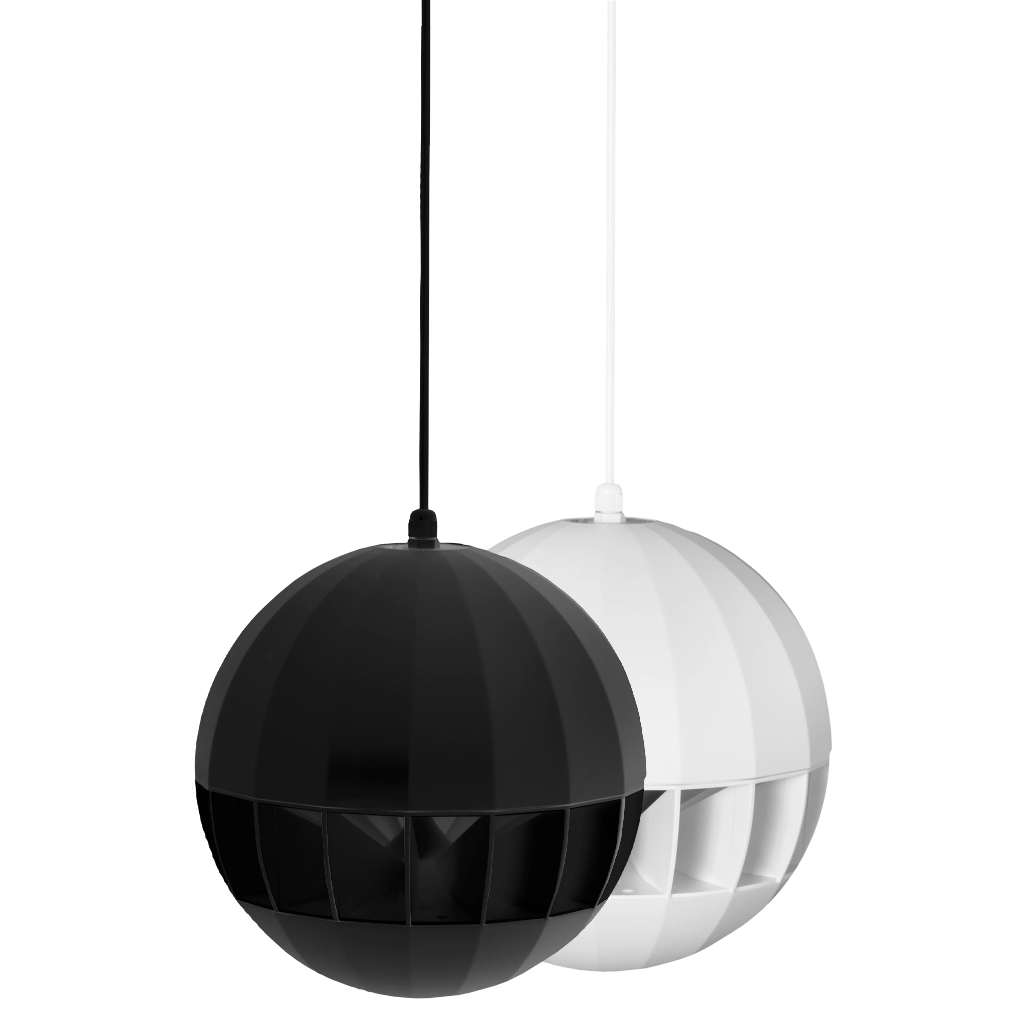 ASP20