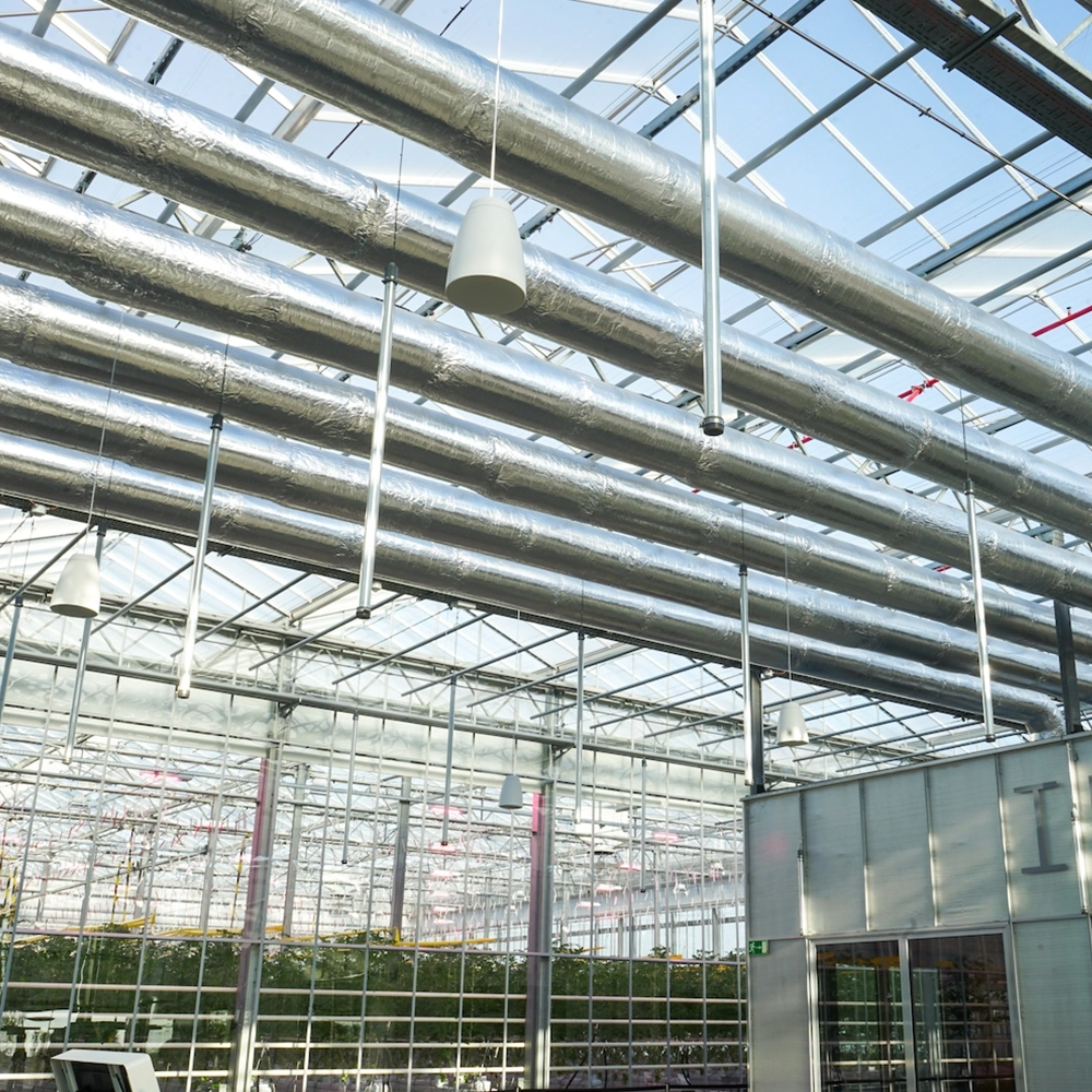 Gallery 4