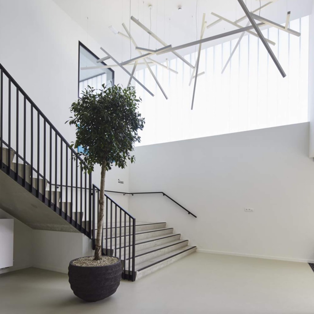 Gallery 5