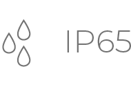 IP65